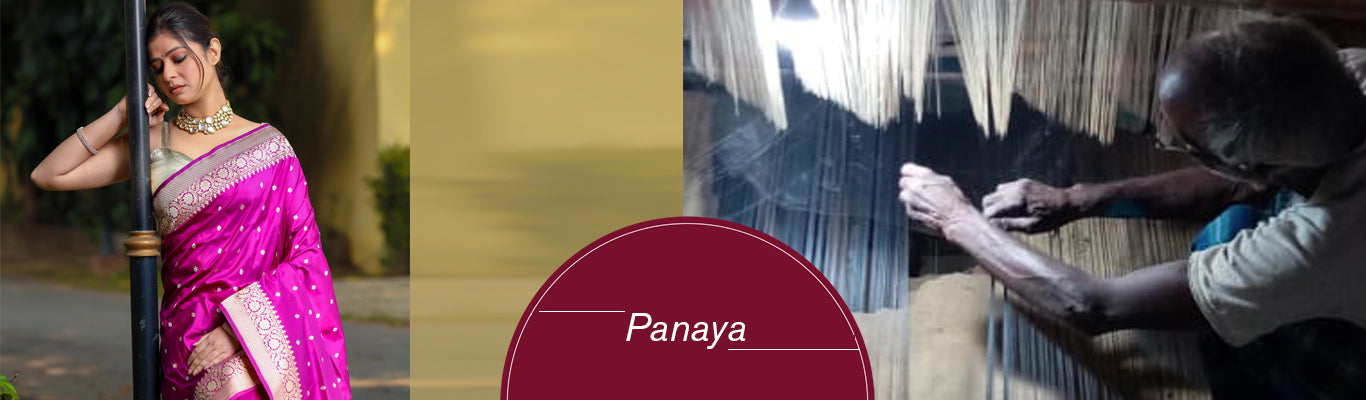 Panaya