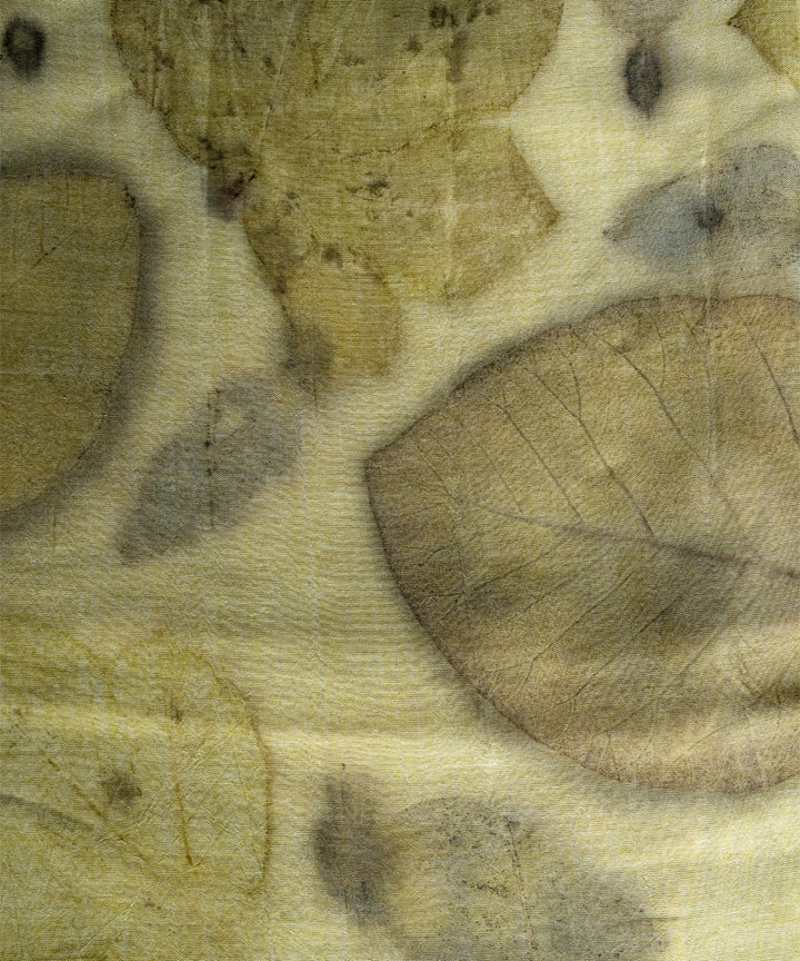 Green cotton hand dyed with spinach extract bio print saree