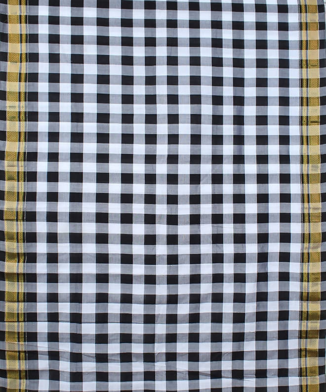 White black checks handwoven chikki paras border ilkal saree