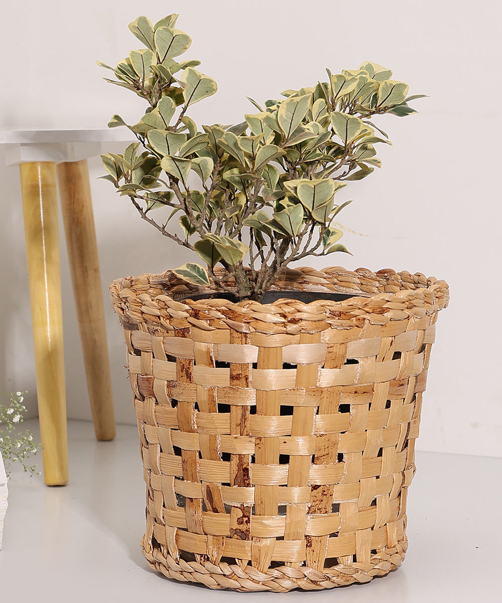 Jodhpur Dunes Planter - Set of 2