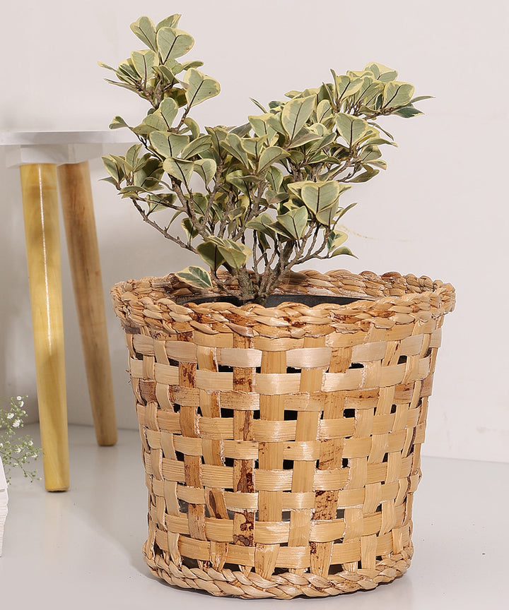Jodhpur Dunes Planter - Set of 2