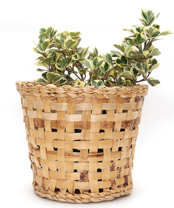 Jodhpur Dunes Planter - Set of 2