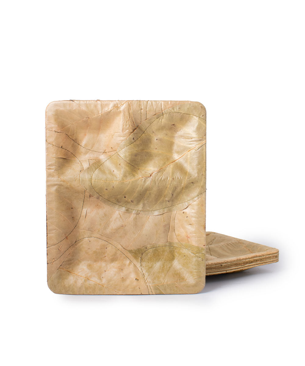 Beige Disposable  Handcrafted plates
