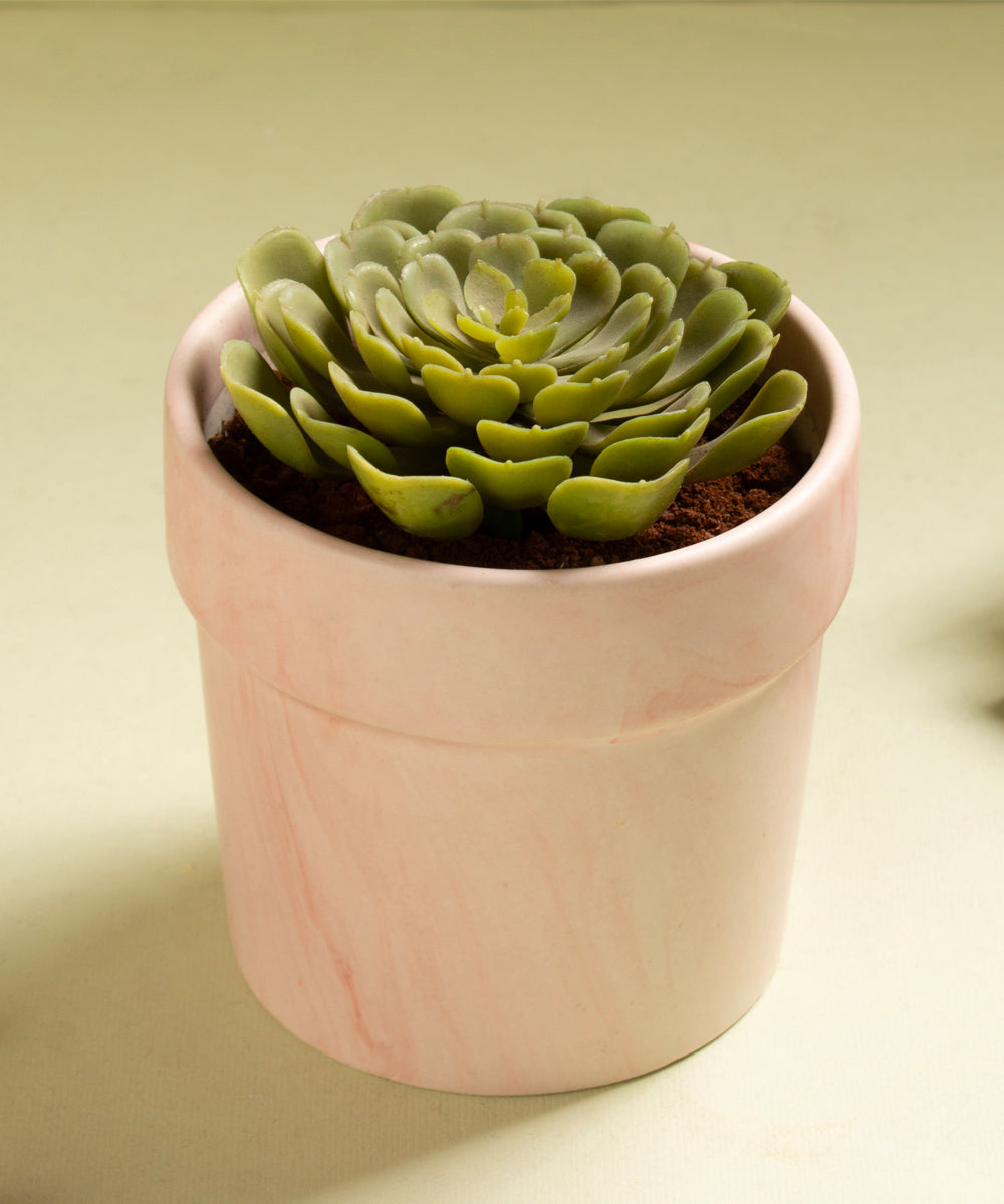 Dual tone ceramic planter
