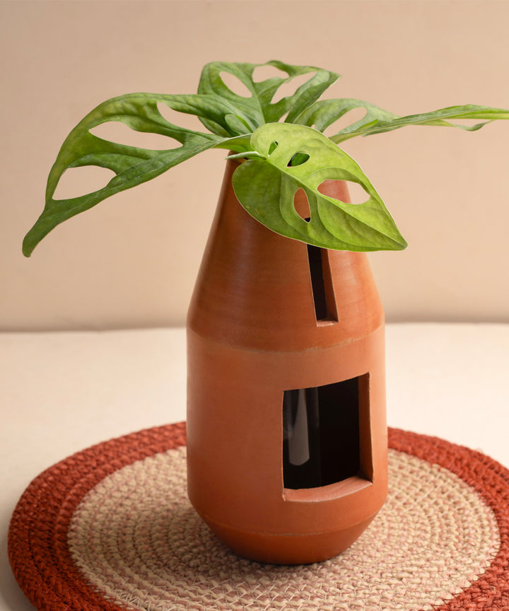 Terracotta bottle-shaped indoor planter with glass tube