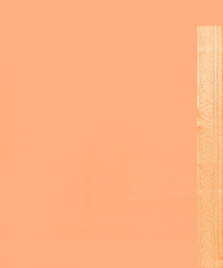 Light brown silk handwoven banarasi saree