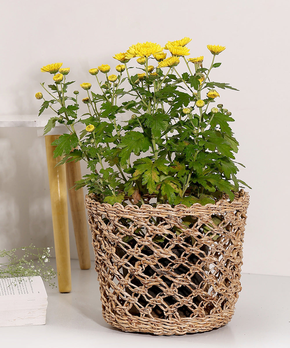 Kohima Weave Planter - Set of 2