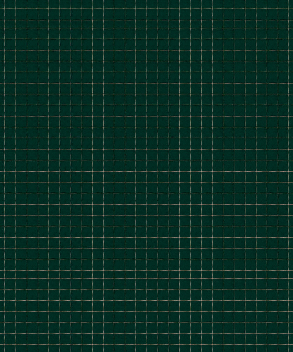 Blue green cotton handloom kajivaram saree