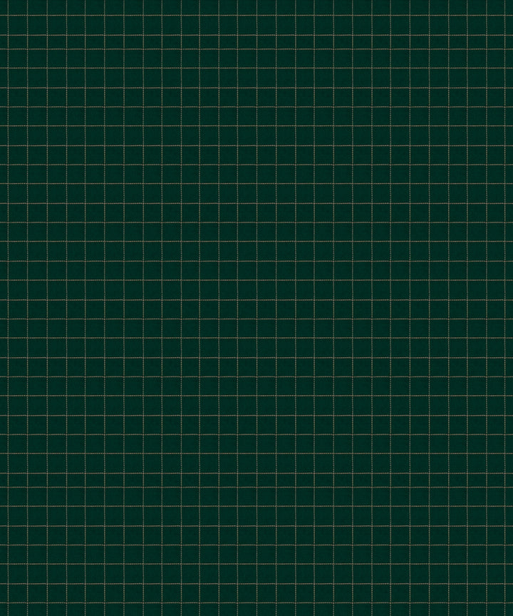 Blue green cotton handloom kajivaram saree