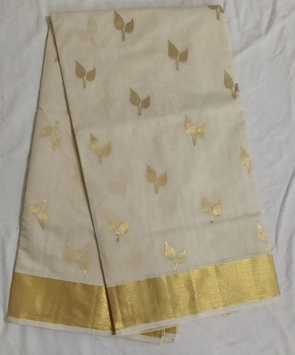 Offwhite golden venkatagiri handloom cotton saree