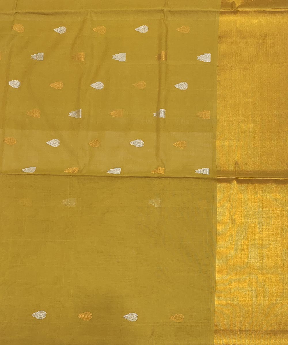 Tobacco green handwoven venkatagiri cotton saree