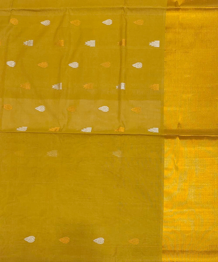 Tobacco green handwoven venkatagiri cotton saree