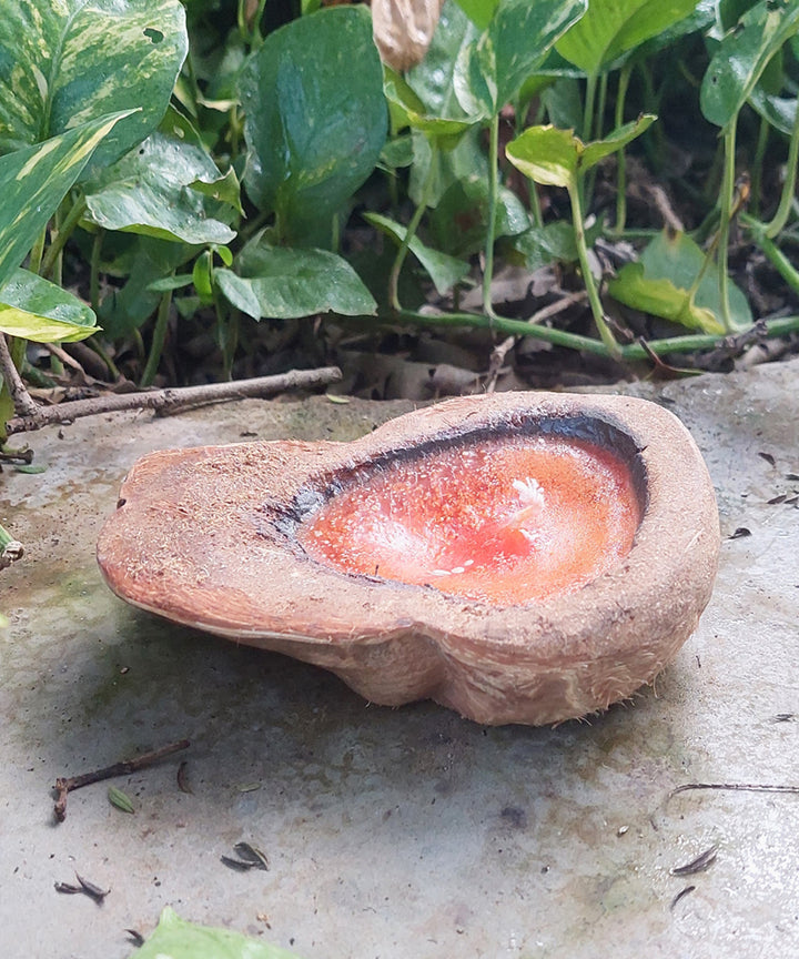 Orange handcrafted flat coconut shell candle