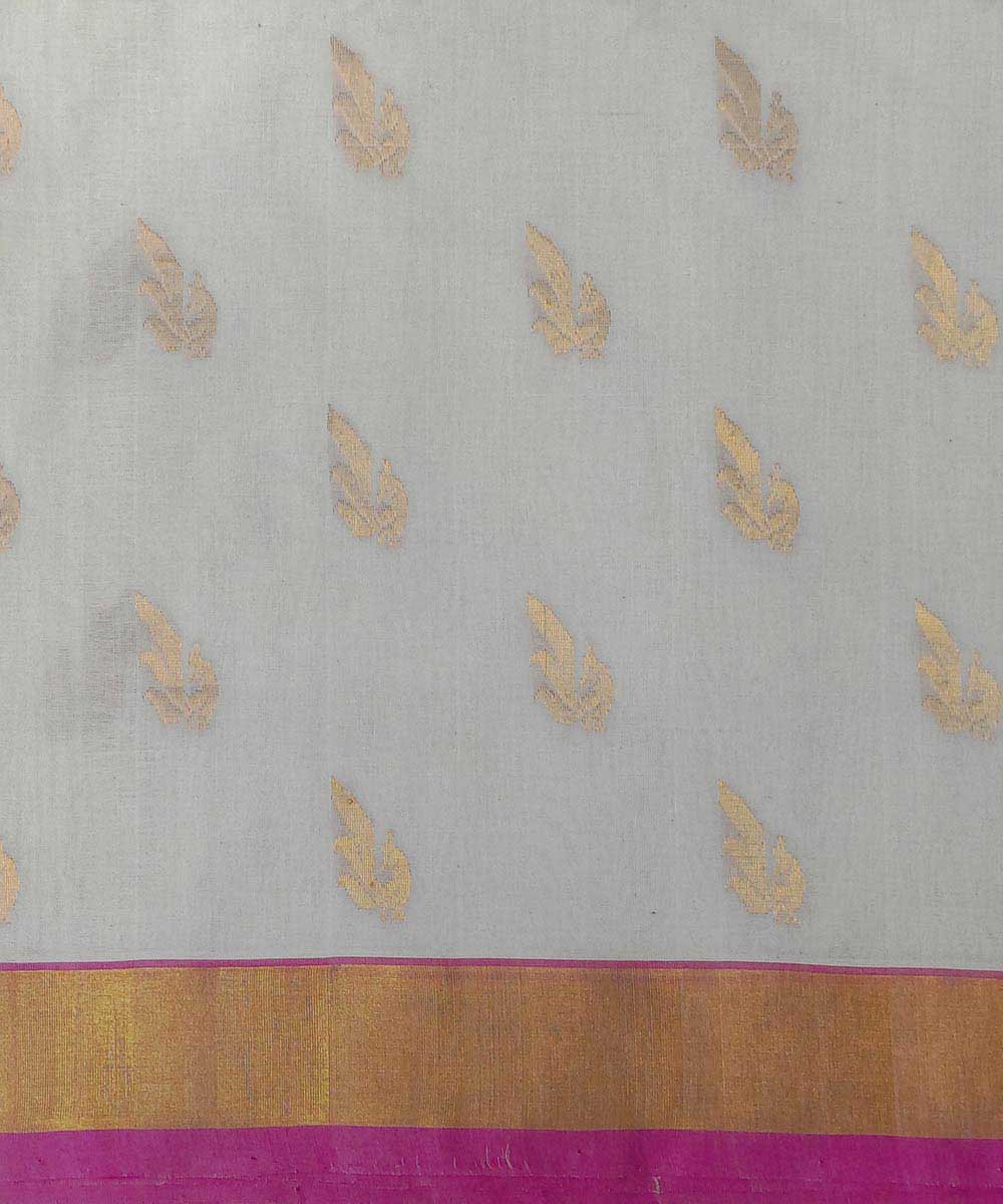 White with gold zari handwoven cotton venkatagiri sari