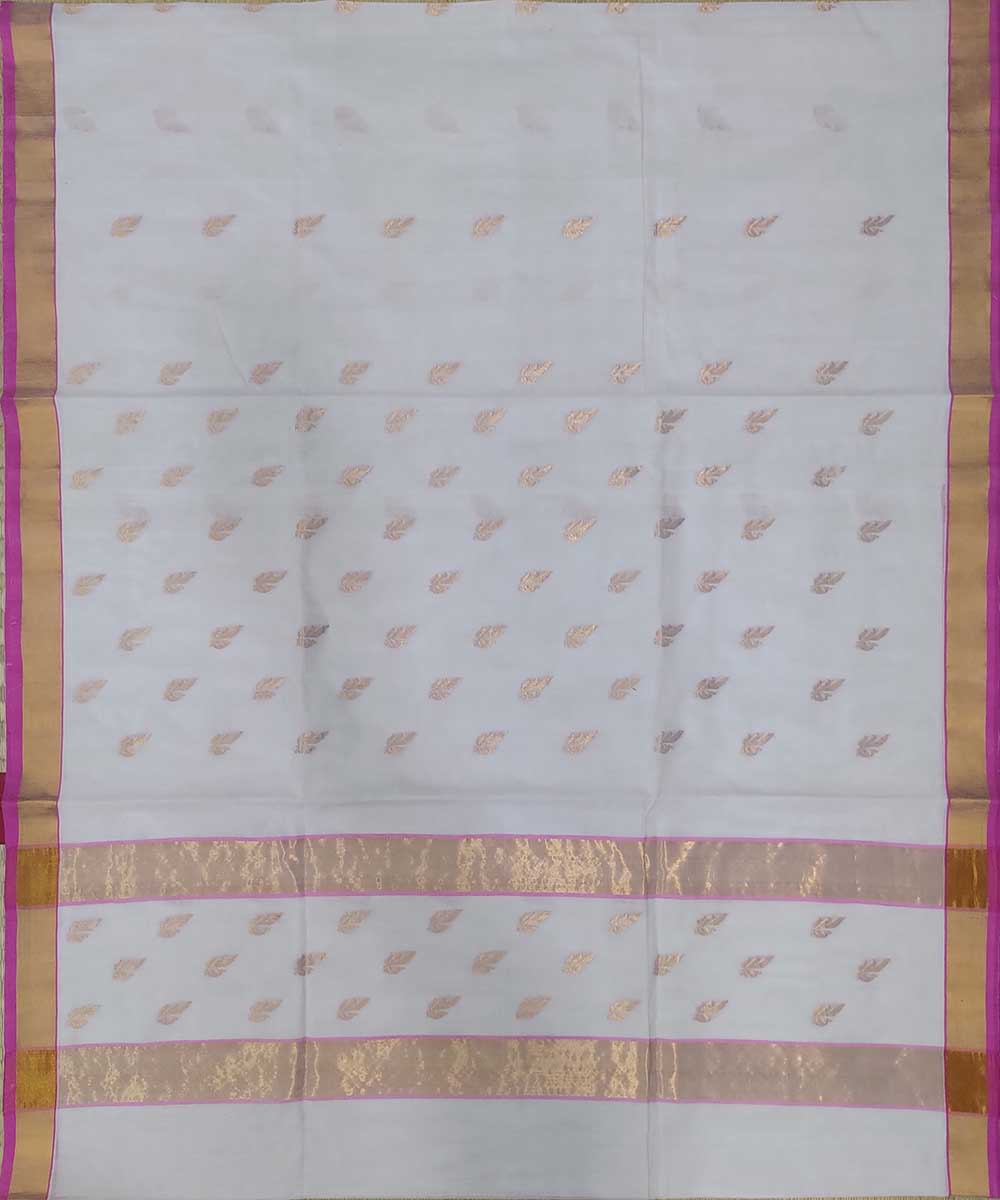 White with gold zari handwoven cotton venkatagiri sari