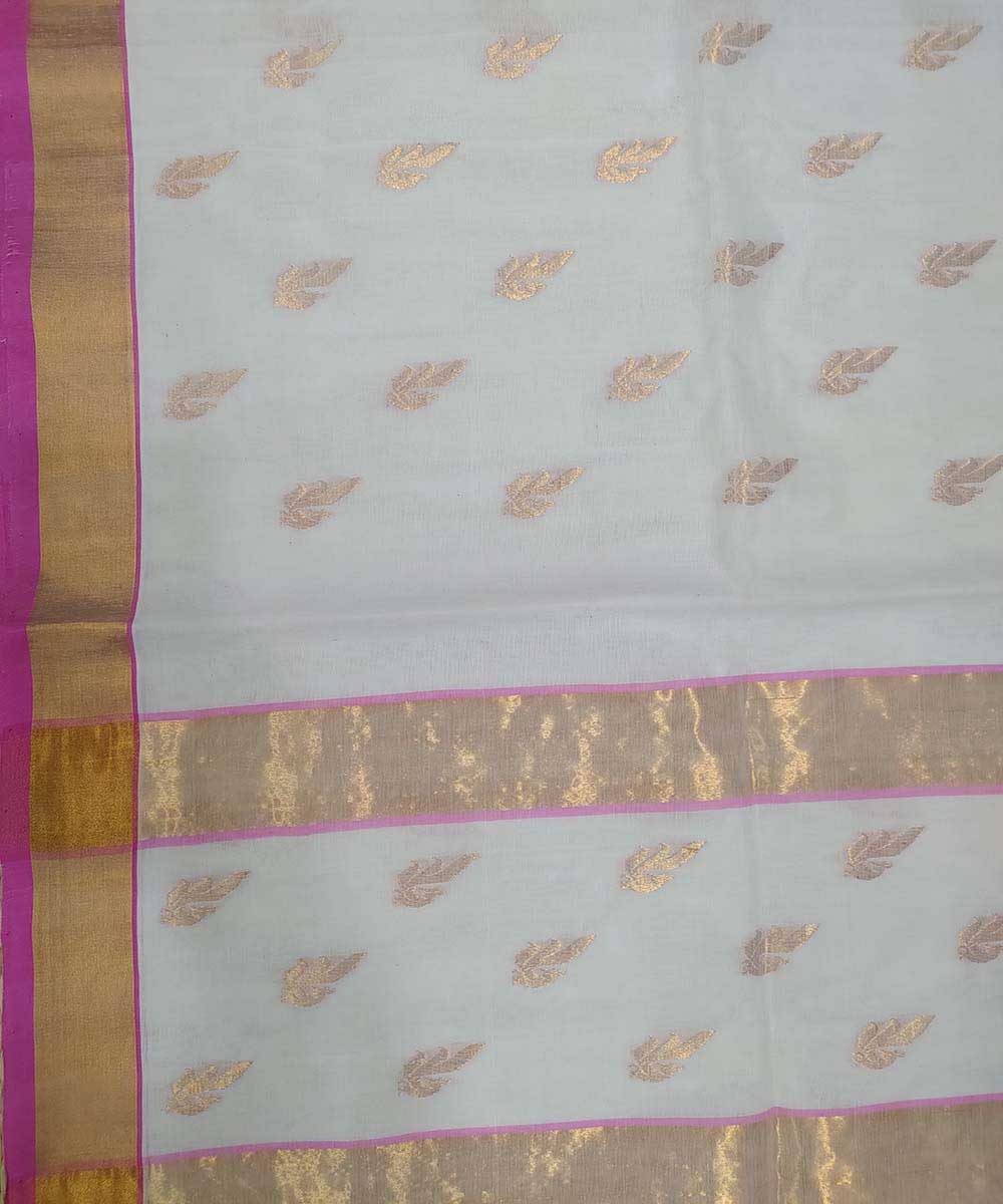 White with gold zari handwoven cotton venkatagiri sari