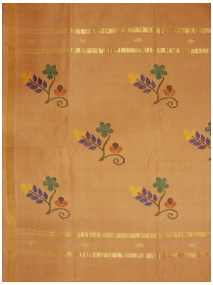 Uppada cotton saree Orange Brown Shade