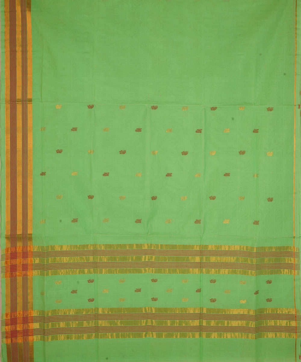 Pale green cotton handloom venkatagiri saree