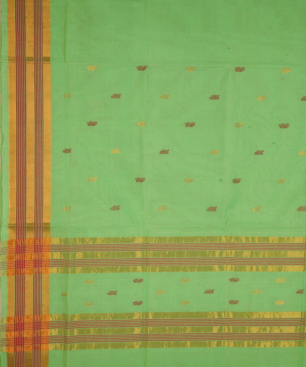 Pale green cotton handloom venkatagiri saree