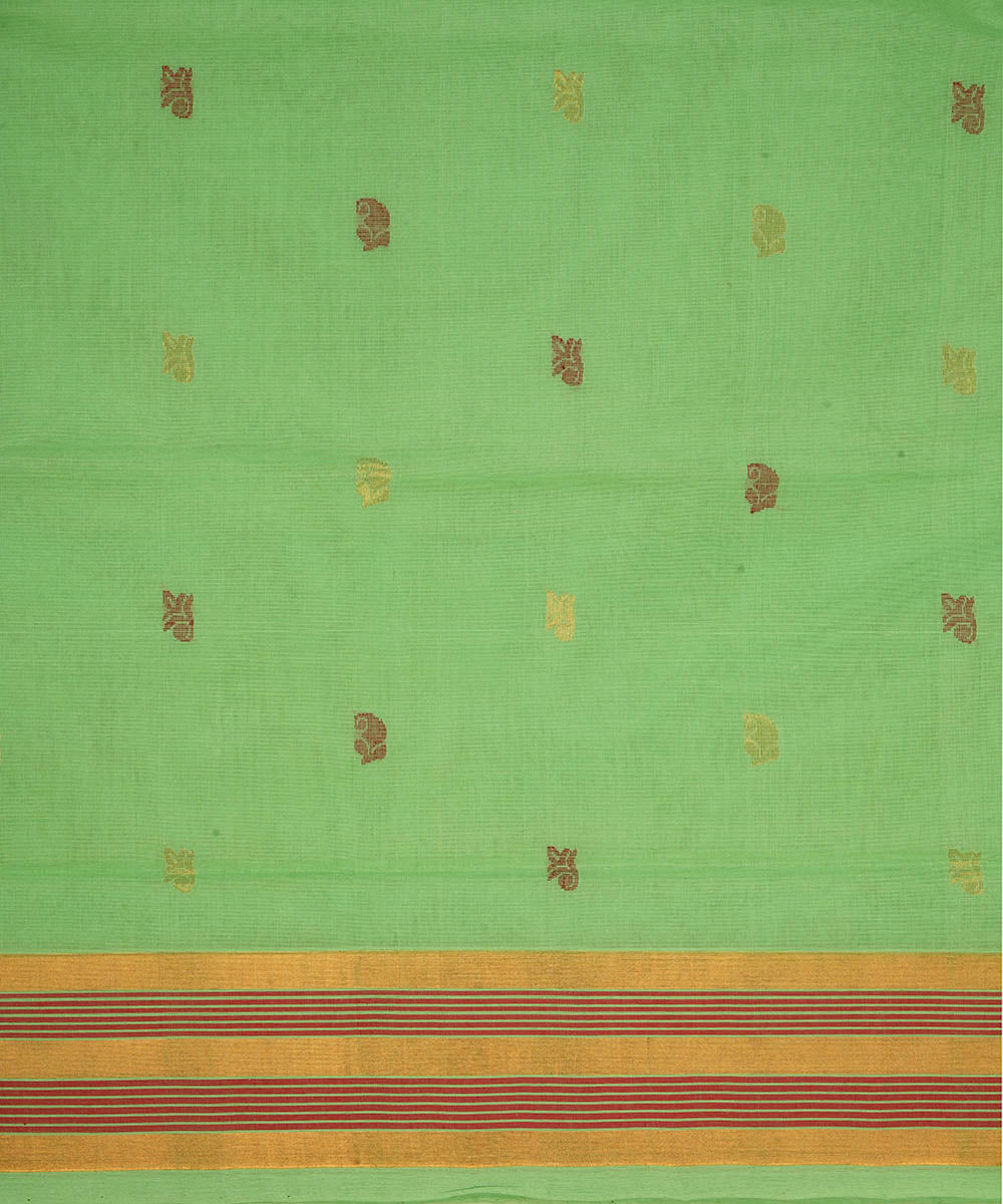 Pale green cotton handloom venkatagiri saree
