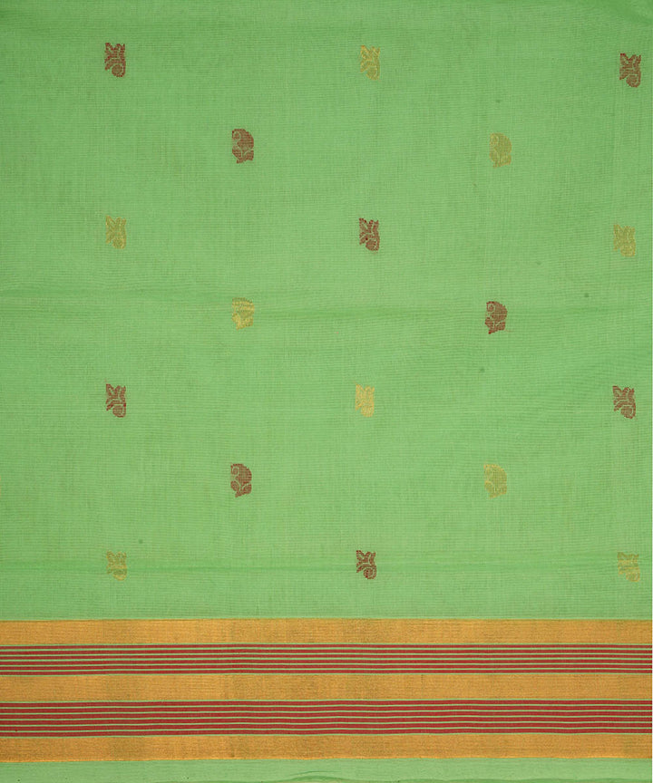 Pale green cotton handloom venkatagiri saree