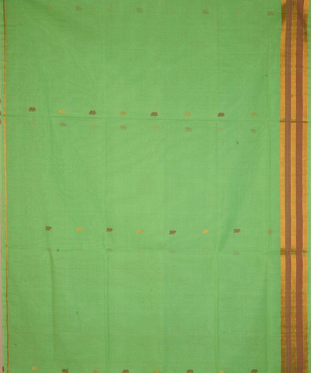 Pale green cotton handloom venkatagiri saree