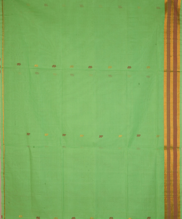Pale green cotton handloom venkatagiri saree